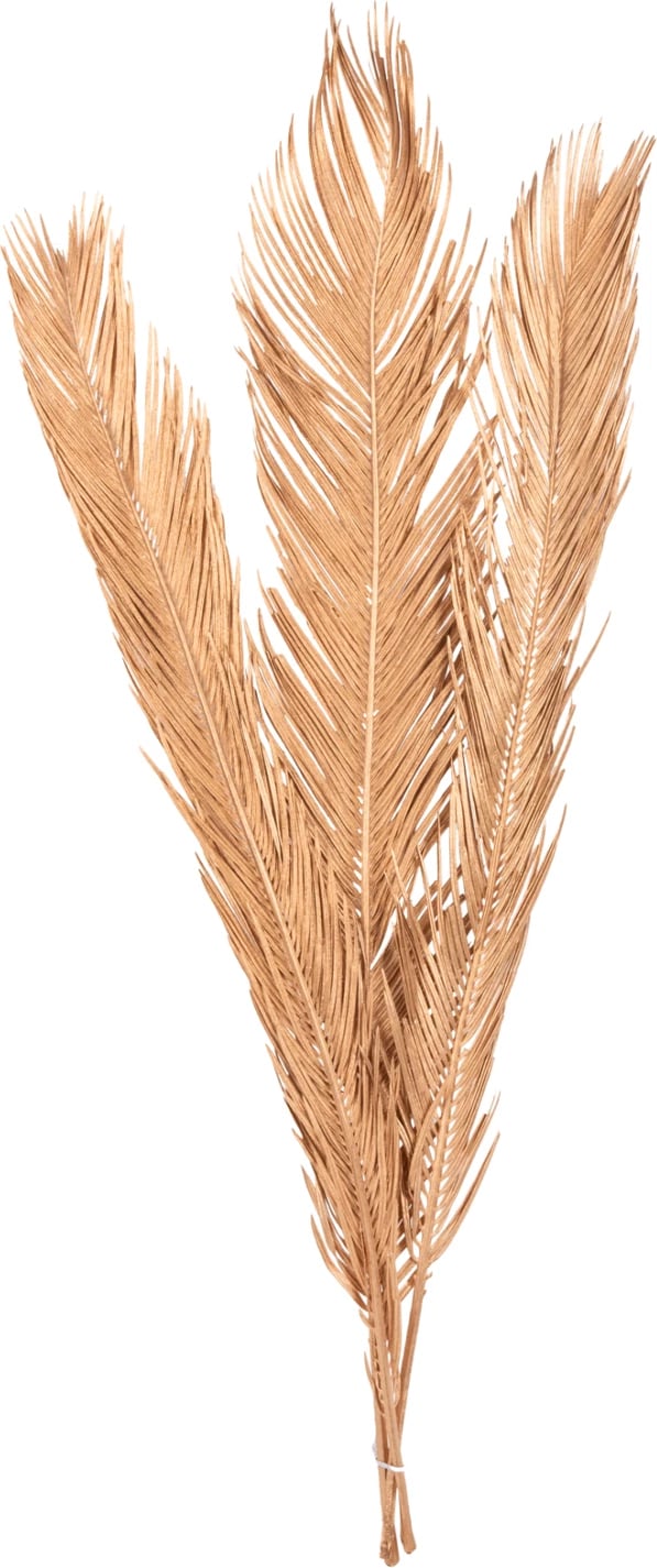 Set dekorativ me 3 gjethe të thara palme, ngjyrë ari, FH7958, 110H cm