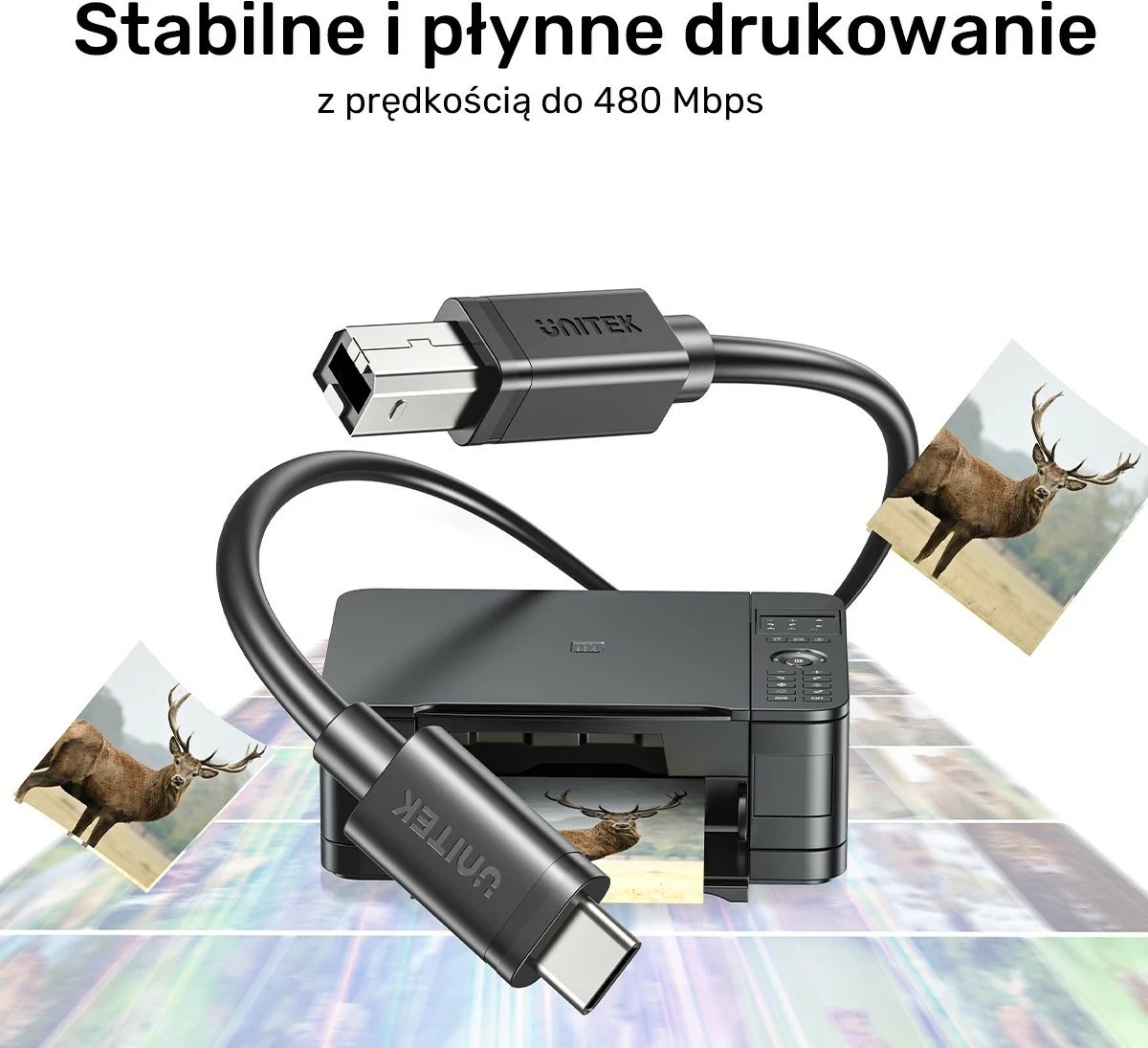 Kabëll Unitek, USB-C në USB-B 2.0, 2m, i zi