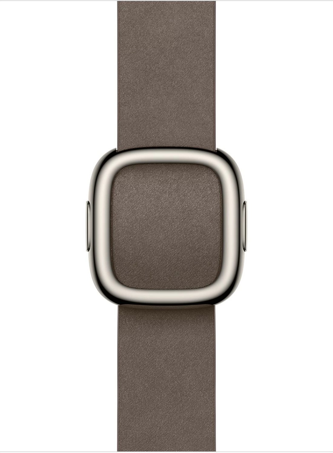 Rrip Apple 42mm Dark Taupe Modern Buckle, i madh
