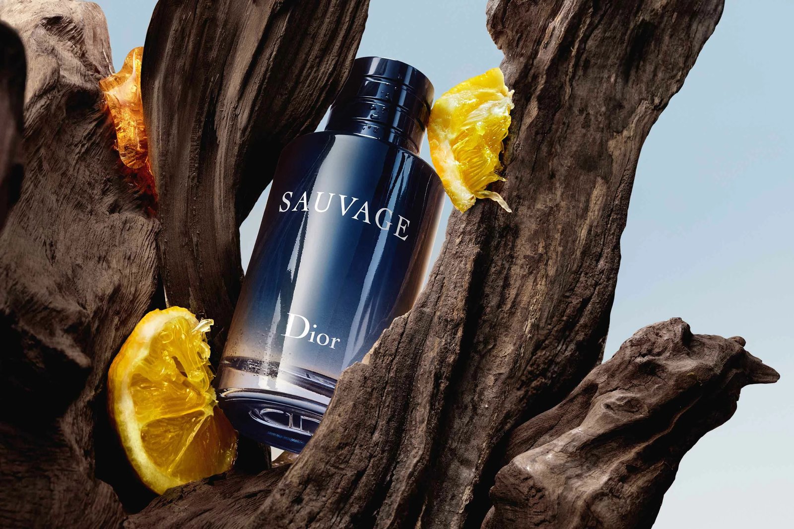 Eau De Toilette Dior Sauvage, 100 ml